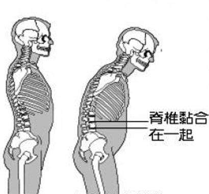 e569983506efd234fae8f5686e3cf422.jpg
